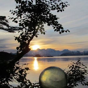 Meet your Posher, Rosey